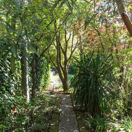 Secret Garden *